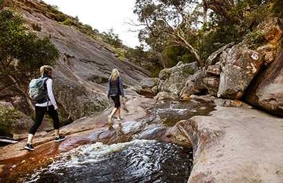 Autopia Tours: Great Ocean Road & Grampians Tour - Day 2