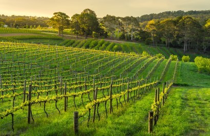 South Australia Outback & Wine Tour - Day 5