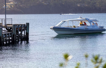 Disconnect in Bruny Island - Day 5