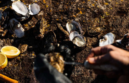 Disconnect in Bruny Island - Day 3