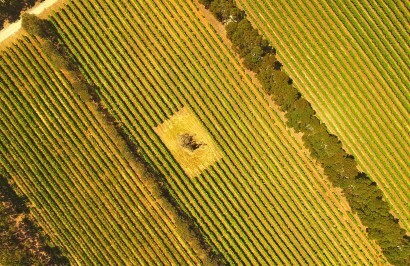 The Hidden Gems of Southern Australia - Day 6