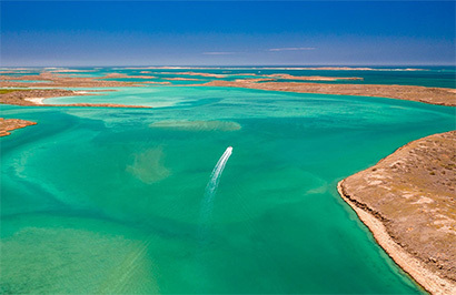 Eclipse Expeditions: Ningaloo Coastal Voyager - Day 6