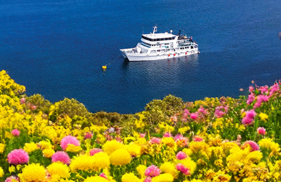 Eco Abrolhos Cruises: The Abrolhos Islands - Day 5