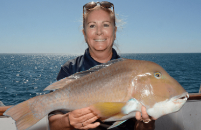 Eco Abrolhos Cruises: The Abrolhos Islands - Day 4