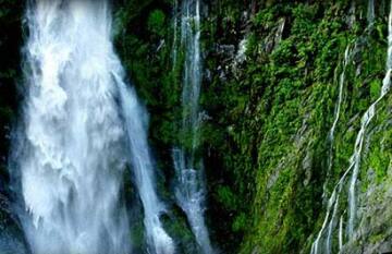 New Zealand Discovery Tour - Day 15