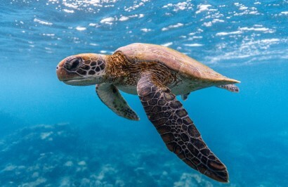 Perth to Exmouth Coastal Drive - Day 8