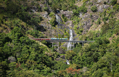 Tropical Reef and Rainforest Tour - Day 2