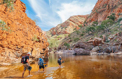 Australian Walking Company: Larapinta Signature Walk - Day 4