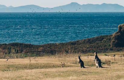 The Best of Tasmania Tour - Day 12