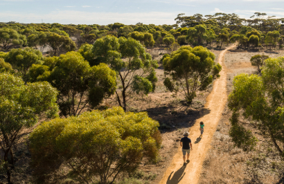 Outback Spirit - Kati Thanda&ndash;Lake Eyre & Flinders Ranges - Day 6