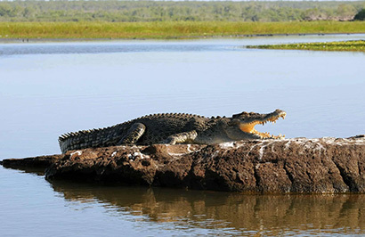 Outback Spirit - Arnhem Land Wetlands & Wildlife - Day 8