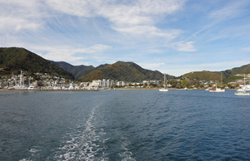 New Zealand Discovery Tour - Day 7