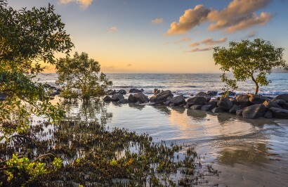 Tropical Reef and Rainforest Tour - Day 3