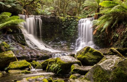 Premier Travel Tasmania - Western Wilderness & Wildlife Encounter - Day 8