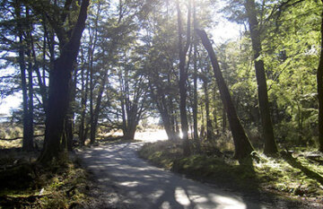 Lord of the Rings Scenic Explorer - Day 13