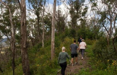 Scenic Rim & Gold Coast Adventure - Day 8