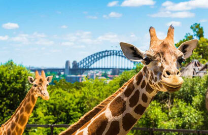 Escape to Australia: Cities, Coast, Outback & Reef - Day 9