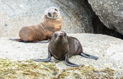 The Great Southern Ocean Vacation - Day 7