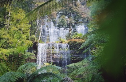 Under Down Under Tours: Ultimate Tasmania - Day 1