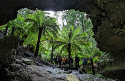 Under Down Under Tours: Ultimate Tasmania - Day 4