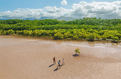 Tropical Reef and Rainforest Tour - Day 6
