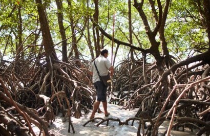Ultimate Port Douglas Tour - Day 4