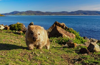 Taste of Tasmania Tour - Day 5
