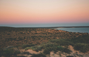 Shark Bay