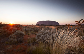 Uluru sunrise