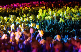 Floriade