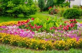 Botanical Gardens
