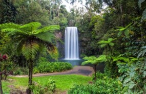 Muillaa Millaa Falls, Atherton Tablelands